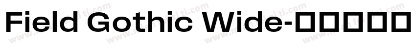 Field Gothic Wide字体转换